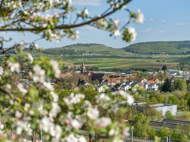 Ausflugsziele in der Region