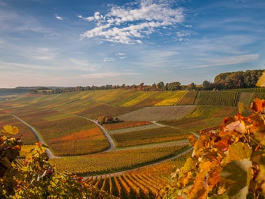 Neckar-Zaber-Tourismus