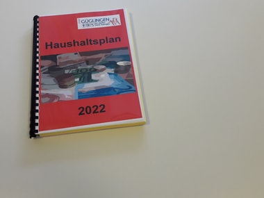 Haushaltsreden