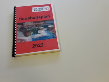 Haushaltsreden