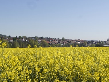 Bodenrichtwerte & Mietspiegel