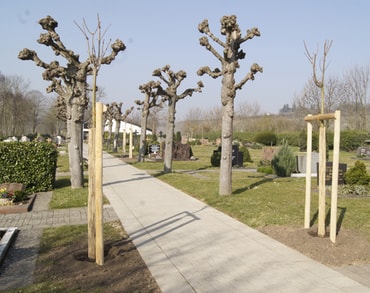 Güglinger Friedhof